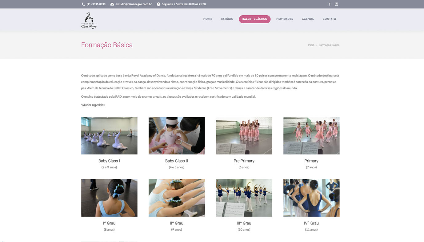 Website WordPress Estúdio de Ballet Cisne Negro- Agência Jhma
