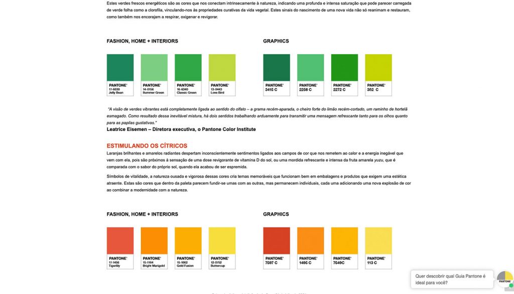 Website WordPress Pantone Brasil - Agência Jhma