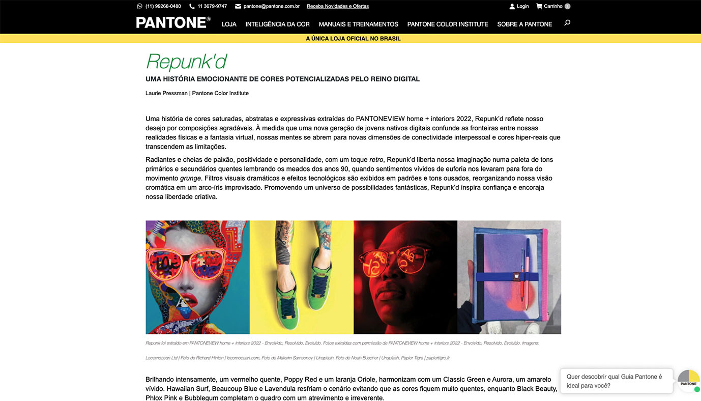 Website WordPress Pantone Brasil - Agência Jhma